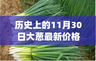 葱香岁月，11月30日大葱最新价格行情及其背后的故事