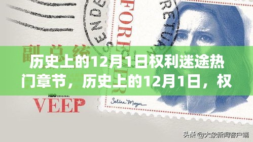 历史上的十二月一日，权利迷途热门章节的解读与反思