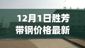 胜芳带钢市场深度观察，最新行情解析与价格走势预测