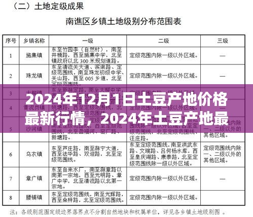 2024年土豆产地最新价格行情解析与查询指南，12月1日土豆产地价格一览