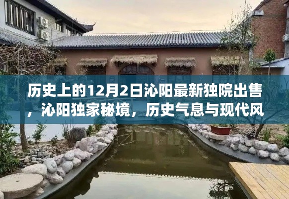 沁阳独家秘境，历史气息与现代风情交织的独院传奇——历史上的最新独院出售在12月2日