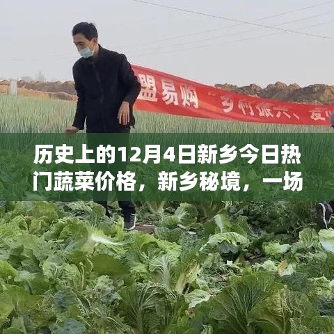 新乡蔬菜价格绿色探索之旅，历史日期下的热门蔬菜价格揭秘