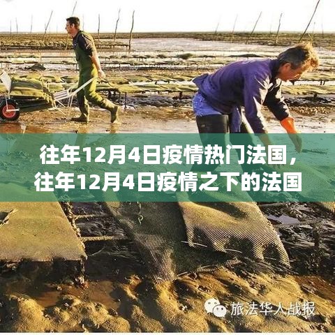 疫情之下的法国，背景、事件与影响深度探讨