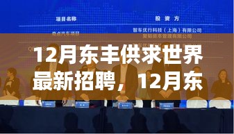 12月东丰供求世界招聘热点及职业机遇深度探索