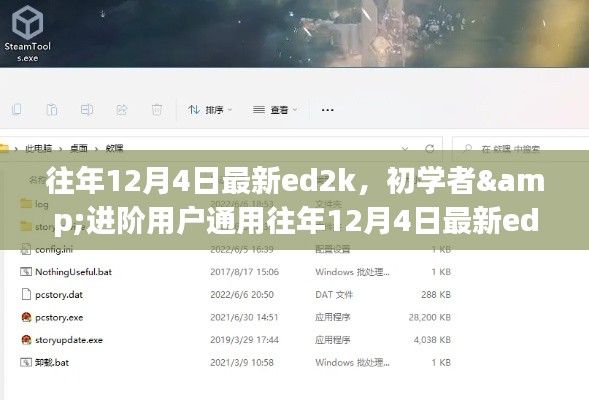 往年12月4日最新ed2k使用全攻略，初学者与进阶用户通用指南，助力你成为下载高手