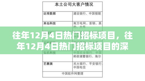 往年12月4日热门招标项目深度解析与观点探析