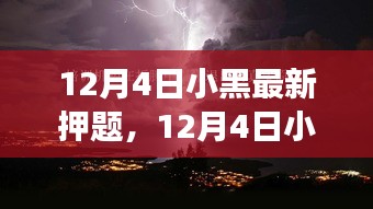 启程探寻自然美景之旅，小黑最新神秘押题揭秘，宁静乐园在召唤