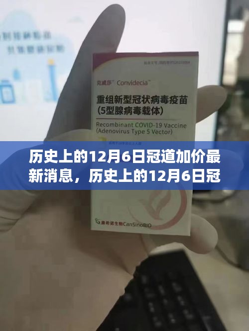 历史上的12月6日冠道加价最新消息，深度解析汽车市场新态势