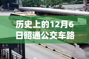 历史上的12月6日昭通公交车路线热门事件回顾与深度解析