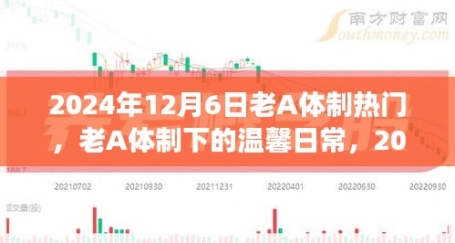 老A体制下的温馨日常与趣事回顾，友情在岁月中的闪光时刻（2024年12月6日）