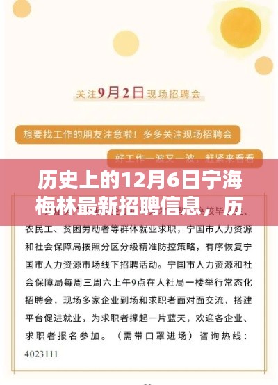 历史上的12月6日宁海梅林最新招聘信息及其就业机遇与挑战解析