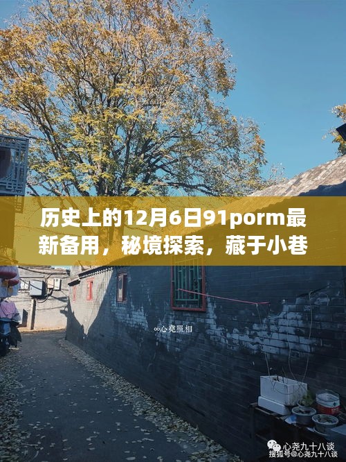 历史上的12月6日91porm最新备用，秘境探索，藏于小巷深处的特色小店，历史上的十二月六日背后的故事揭秘