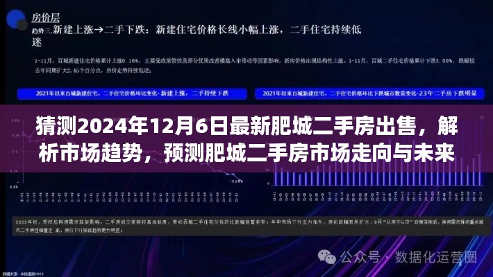 独家解析，肥城二手房市场趋势预测与未来展望（最新预测数据至2024年12月）