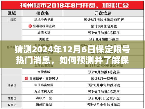 2024年保定限号预测与消息获取途径，以猜测保定限号热门消息为例