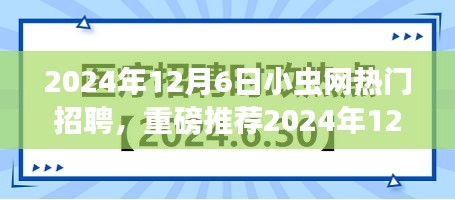 2024年12月6日小虫网热门招聘全解析，理想职位等你来挑战！