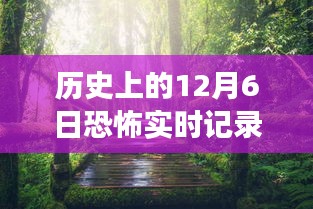 历史上的恐怖记录电影与自然美景之旅，探索暖心恐怖电影，寻找内心平静之旅