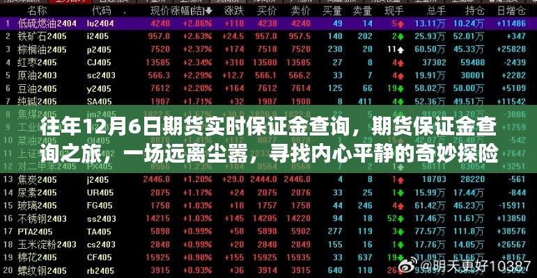 远离尘嚣的期货保证金查询之旅，12月6日期货实时保证金查询探索