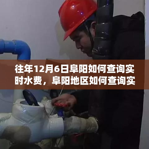 阜阳实时水费查询指南，12月6日如何快速查询水费（适用于初学者与进阶用户）