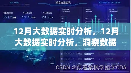 12月大数据实时分析，洞悉数据背后的商业价值