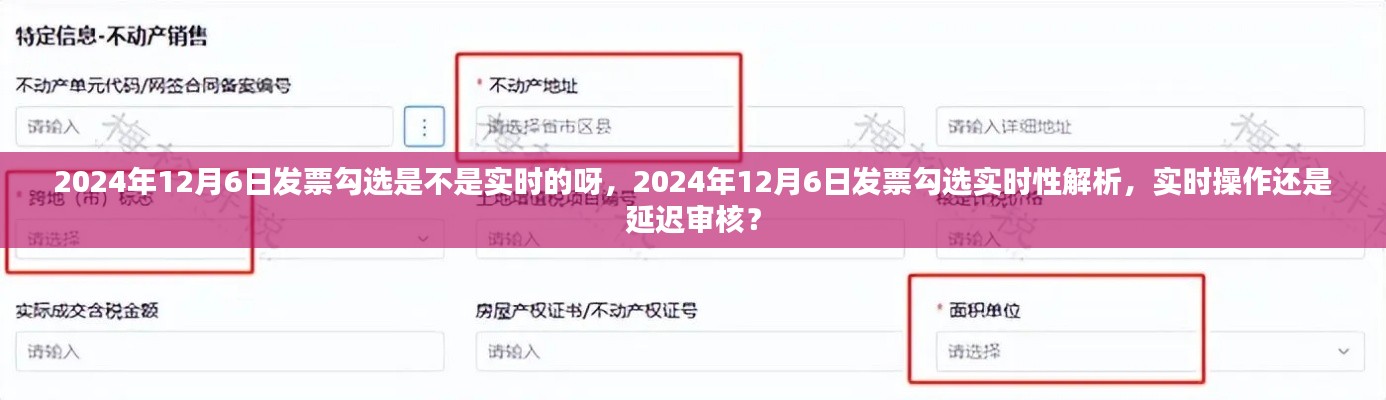 关于发票勾选实时性解析，2024年12月6日的实时操作还是延迟审核？的探讨