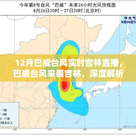 巴威台风来袭吉林，直播三大要点深度解析