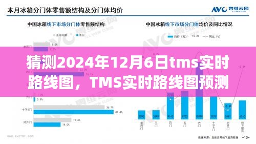 TMS实时路线图预测，2024年12月6日的展望与争议分析