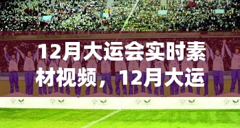 12月大运会实时素材视频，全面评测与详细介绍