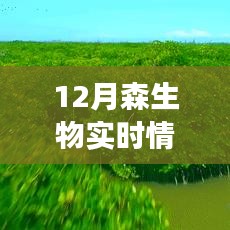 森生物公司十二月实时情况深度解析，背景、事件与领域地位全面梳理