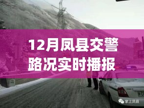 凤县交警路况实时播报指南，适用于初学者与进阶用户的路况播报详解