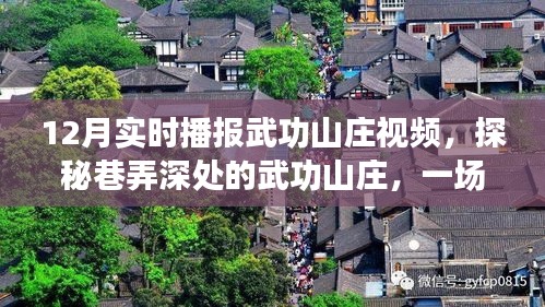 探秘武功山庄，实时播报下的惊喜邂逅视频回顾