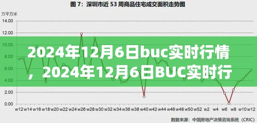 2024年12月6日BUC实时行情深度解析，背景、事件与影响全解析