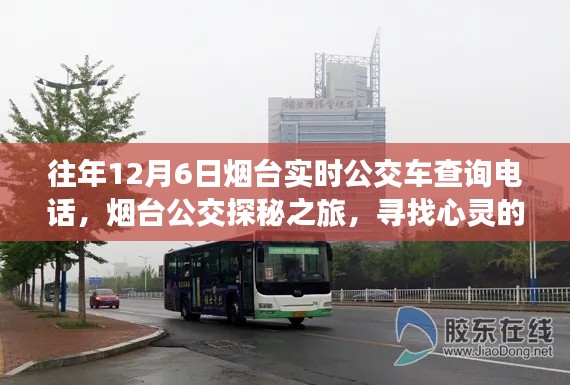 烟台公交探秘之旅，实时查询热线与心灵的宁静港湾之旅