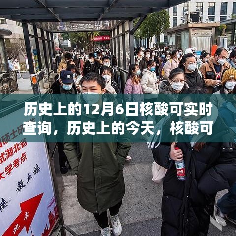 历史上的核酸实时查询，学习变化点亮自信之光之路