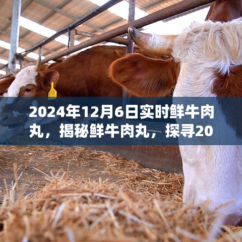 揭秘鲜牛肉丸，探寻制作与魅力的独特之处（2024年12月6日实时）