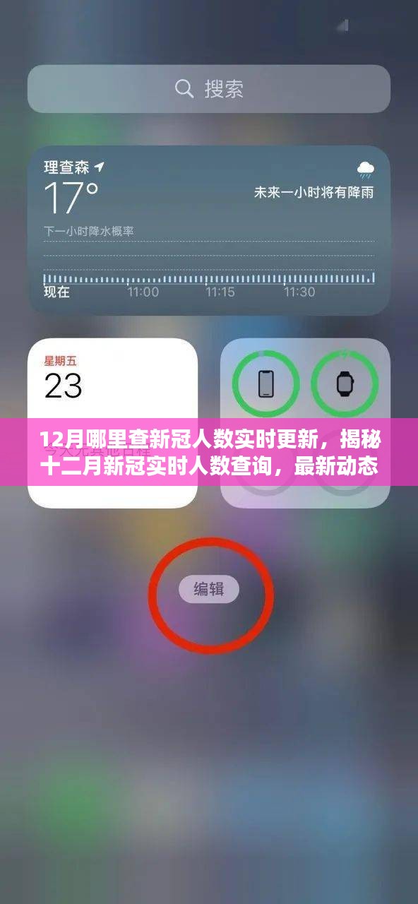揭秘十二月新冠实时人数查询，最新动态与查询渠道更新发布