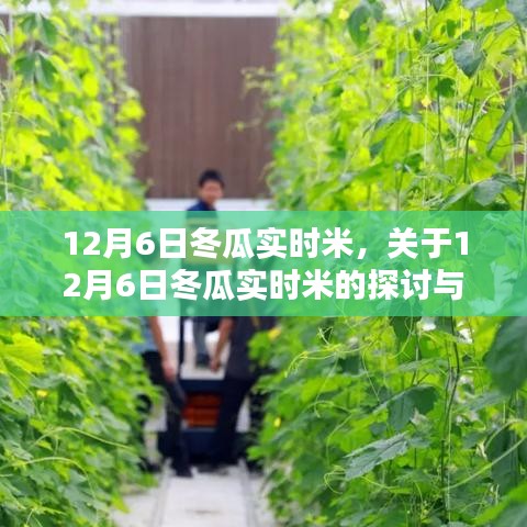 关于12月6日冬瓜实时米的深度探讨与观点分享