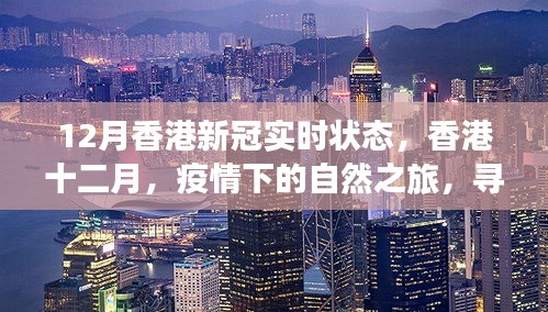 香港十二月新冠疫情下的自然探索与内心平和之旅