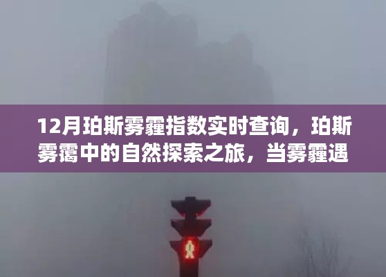 珀斯雾霾指数实时查询，雾霭中的自然探索之旅，雾霾与旅行的魔法交汇