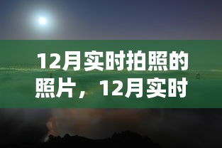 12月实时拍照记录，冬季的温暖与奇迹瞬间