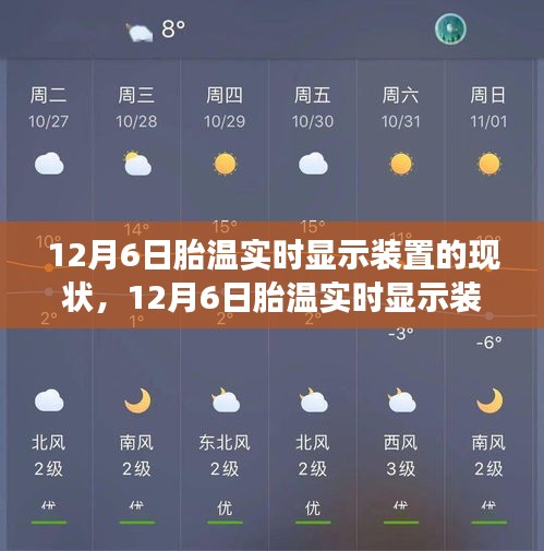 12月6日胎温实时显示装置的现状及前景展望