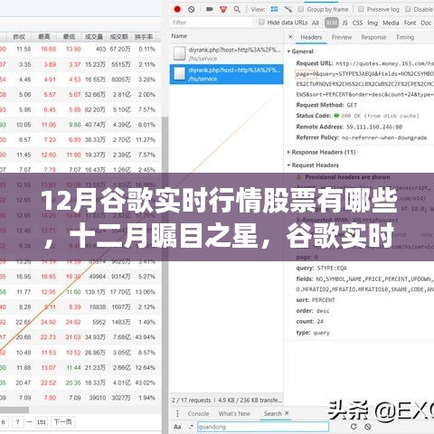 12月谷歌实时行情股票聚焦，热门股票概览与瞩目之星