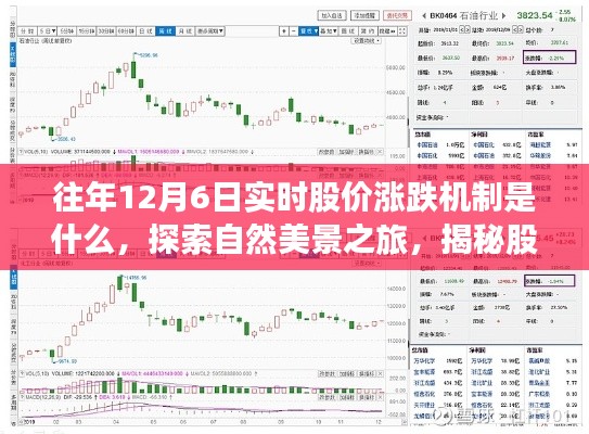 揭秘股价涨跌与自然美景之旅，探寻股价机制背后的秘密与内心平静港湾的双重探索