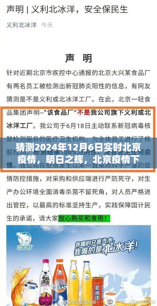 北京疫情下的希望与成长，明日之辉预测2024年12月6日实时疫情动态