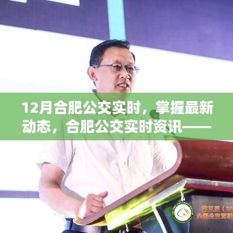 合肥公交实时资讯，掌握最新动态，十二月特别报道