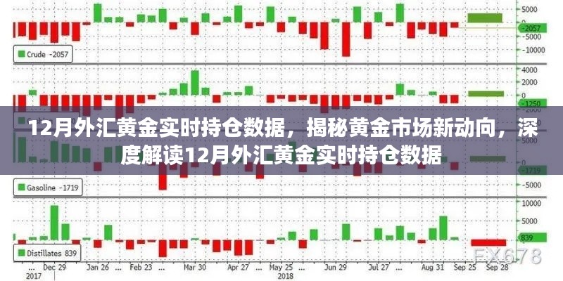 揭秘黄金市场新动向，深度解读十二月外汇黄金实时持仓数据报告