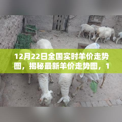 全国实时羊价走势图揭秘，最新行情分析与预测