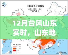 山东地区台风实时监测系统，前沿科技助力台风防御变革