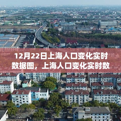 上海人口变化实时数据图，探寻自然之旅与内心平和的交融时刻