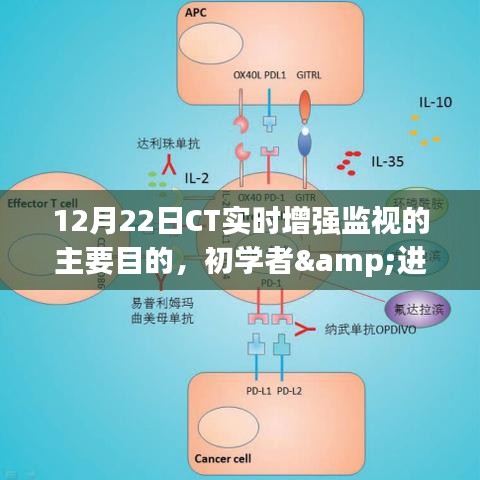 CT实时增强监视操作指南，初学者与进阶用户适用，目的与操作详解