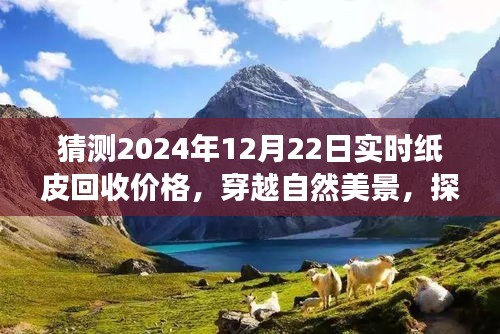 探寻纸皮回收未来之旅，穿越自然美景，预测纸皮回收价格猜想之旅——2024年纸皮回收市场展望